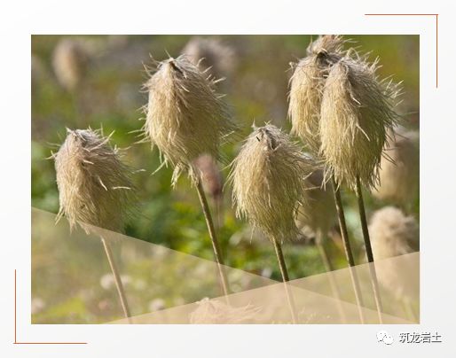 常见边坡坡面防护设计,你真的搞懂了吗?的图6